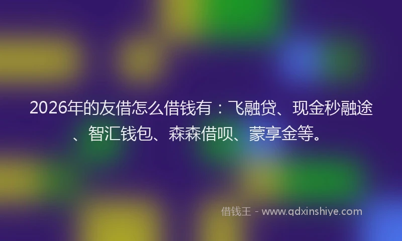 2026年的友借怎么借钱有：飞融贷、现金秒融途、智汇钱包、森森借呗、蒙享金等。