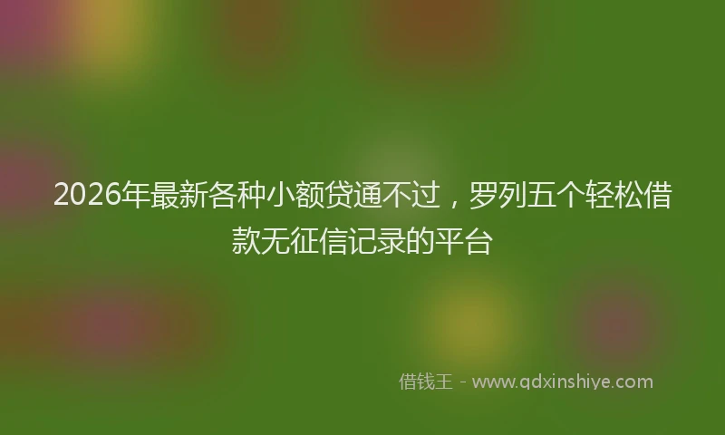 2026年最新各种小额贷通不过,罗列五个轻松借款无征信记录的平台
