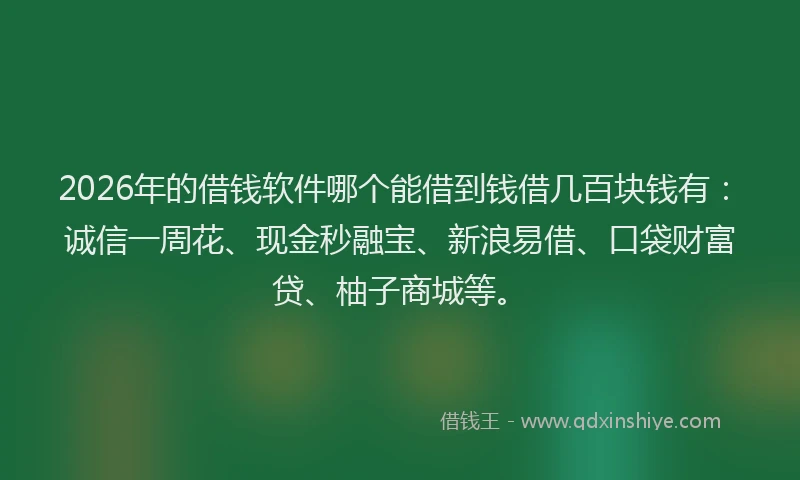 2026年的借钱软件哪个能借到钱借几百块钱有：诚信一周花、现金秒融宝、新浪易借、口袋财富贷、柚子商城等。