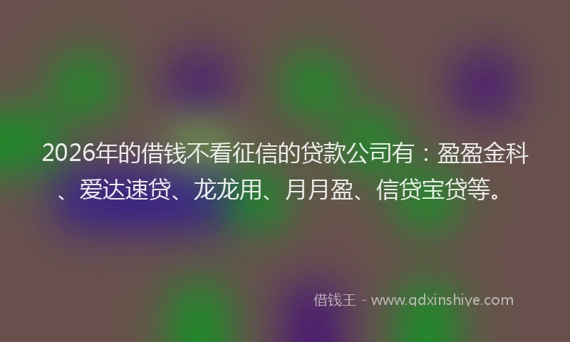 2026年的借钱不看征信的贷款公司有：盈盈金科、爱达速贷、龙龙用、月月盈、信贷宝贷等。