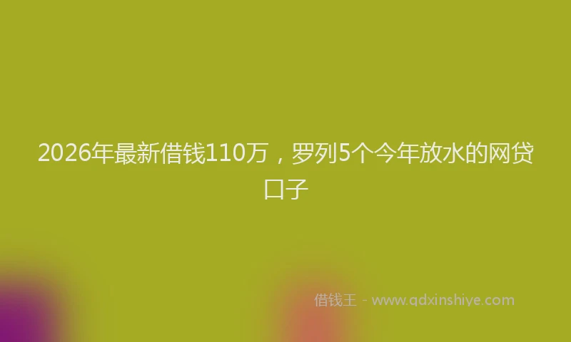 2026年最新借钱110万，罗列5个今年放水的网贷口子