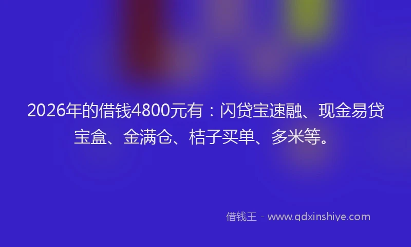2026年的借钱4800元有:闪贷宝速融、现金易贷宝盒、金满仓、桔子买单、多米等。
