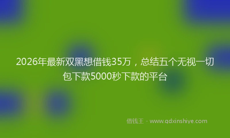 2026年最新双黑想借钱35万，总结五个无视一切包下款5000秒下款的平台