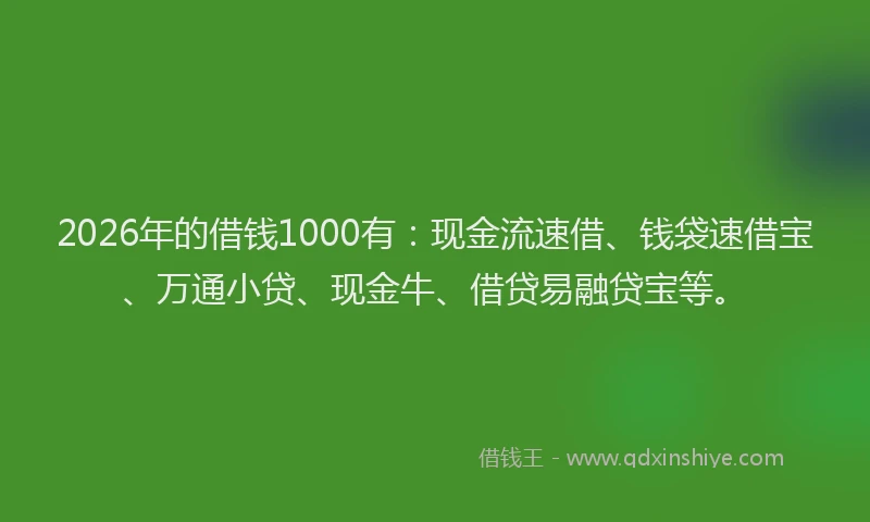 2026年的借钱1000有：现金流速借、钱袋速借宝、万通小贷、现金牛、借贷易融贷宝等。