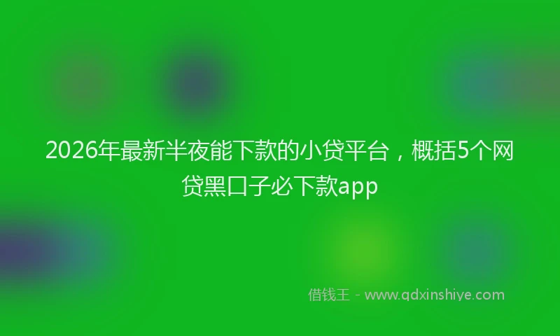 2026年最新半夜能下款的小贷平台，概括5个网贷黑口子必下款app