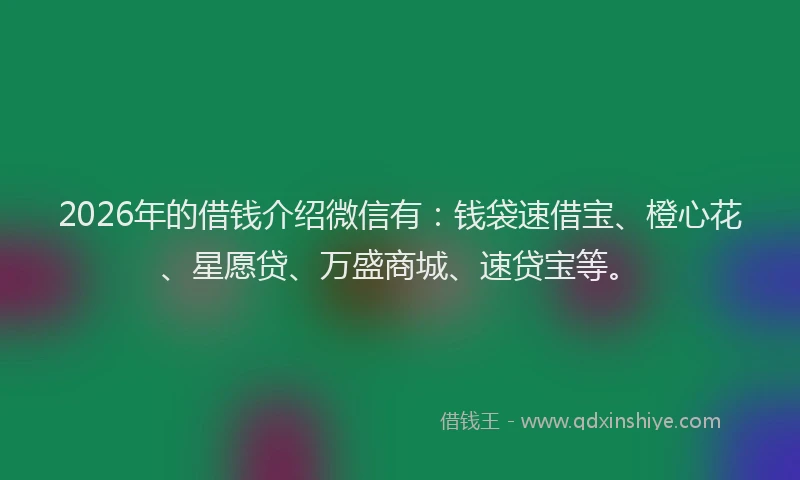 2026年的借钱介绍微信有:钱袋速借宝、橙心花、星愿贷、万盛商城、速贷宝等。