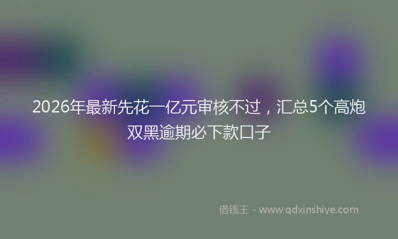 2026年最新先花一亿元审核不过，汇总5个高炮双黑逾期必下款口子