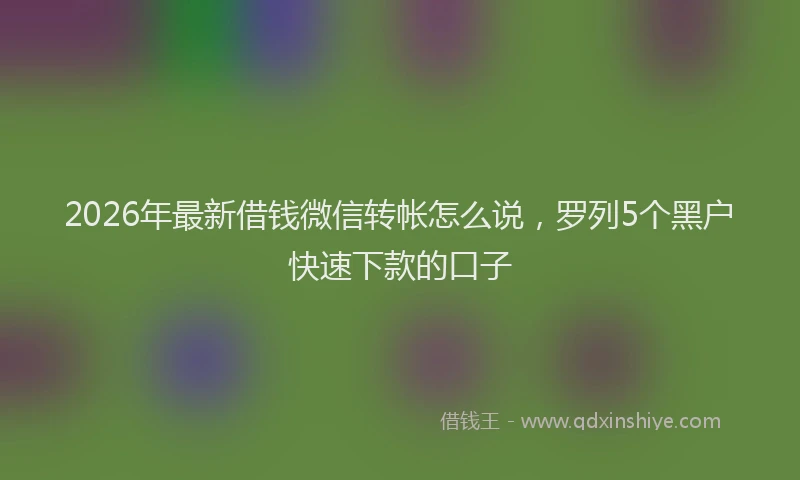2026年最新借钱微信转帐怎么说，罗列5个黑户快速下款的口子