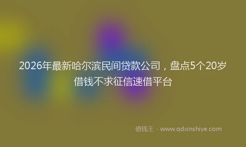 2026年最新哈尔滨民间贷款公司，盘点5个20岁借钱不求征信速借平台