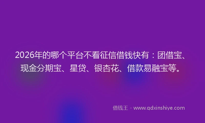 2026年的哪个平台不看征信借钱快有:团借宝、现金分期宝、星贷、银杏花、借款易融宝等。