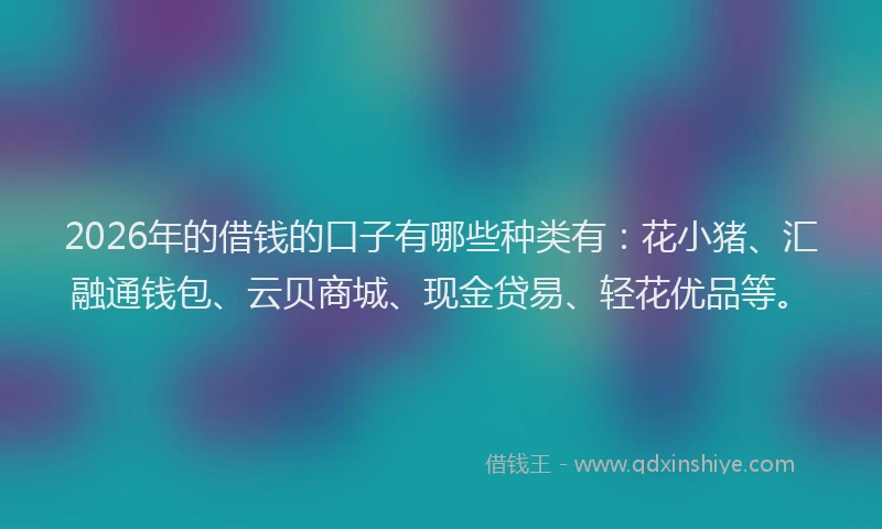 2026年的借钱的口子有哪些种类有：花小猪、汇融通钱包、云贝商城、现金贷易、轻花优品等。