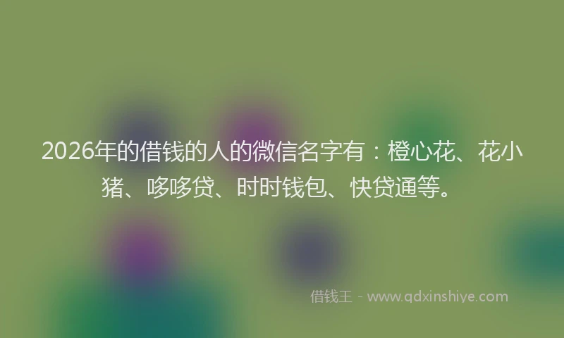 2026年的借钱的人的微信名字有：橙心花、花小猪、哆哆贷、时时钱包、快贷通等。