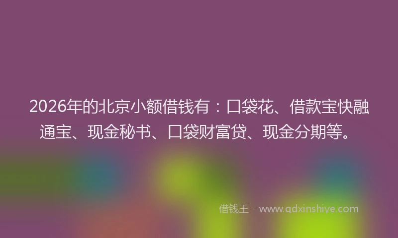 2026年的北京小额借钱有：口袋花、借款宝快融通宝、现金秘书、口袋财富贷、现金分期等。