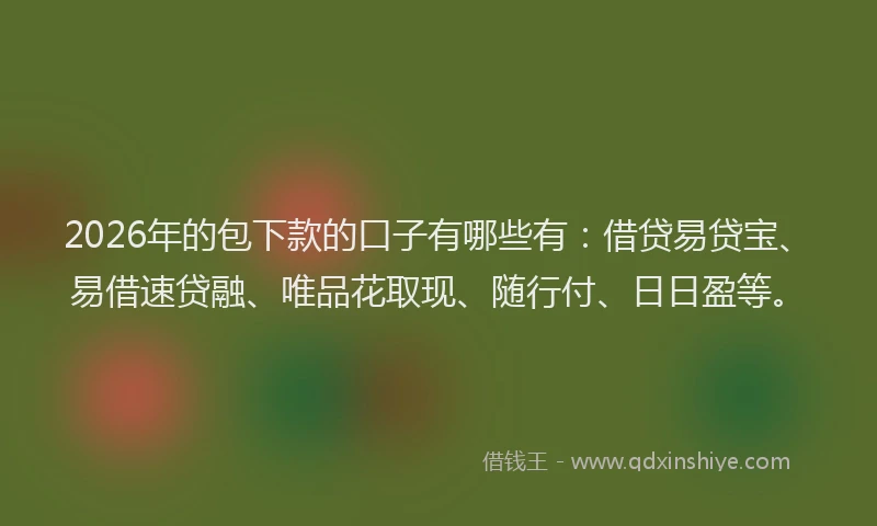 2026年的包下款的口子有哪些有：借贷易贷宝、易借速贷融、唯品花取现、随行付、日日盈等。