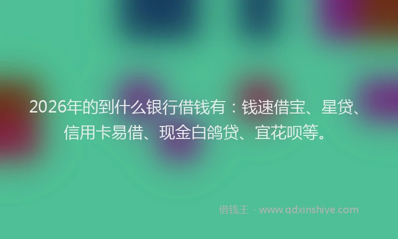 2026年的到什么银行借钱有：钱速借宝、星贷、信用卡易借、现金白鸽贷、宜花呗等。