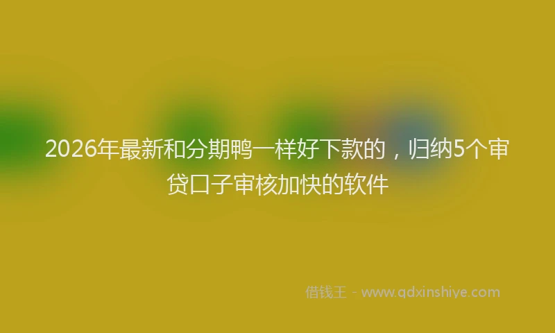 2026年最新和分期鸭一样好下款的，归纳5个审贷口子审核加快的软件