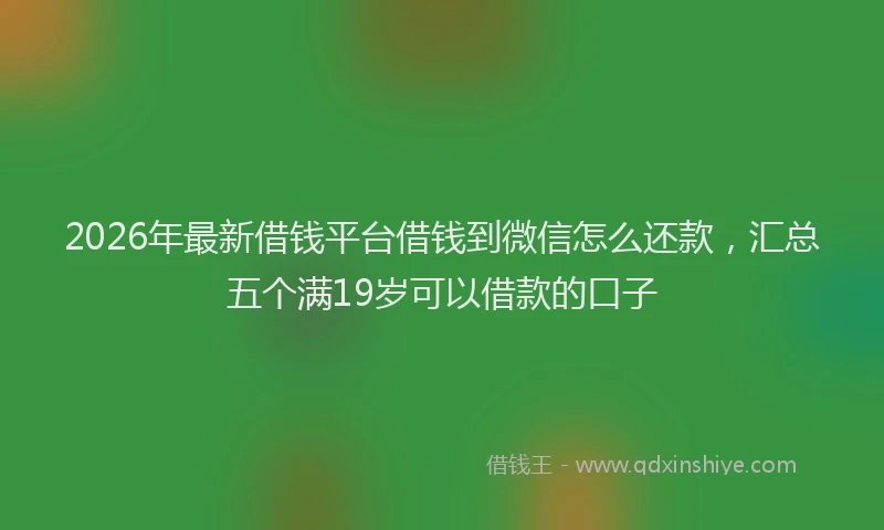 2026年最新借钱平台借钱到微信怎么还款,汇总五个满19岁可以借款的口子