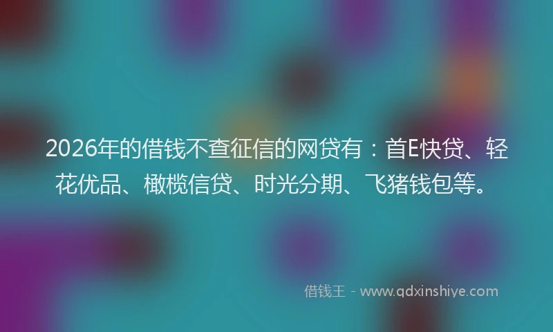 2026年的借钱不查征信的网贷有：首E快贷、轻花优品、橄榄信贷、时光分期、飞猪钱包等。