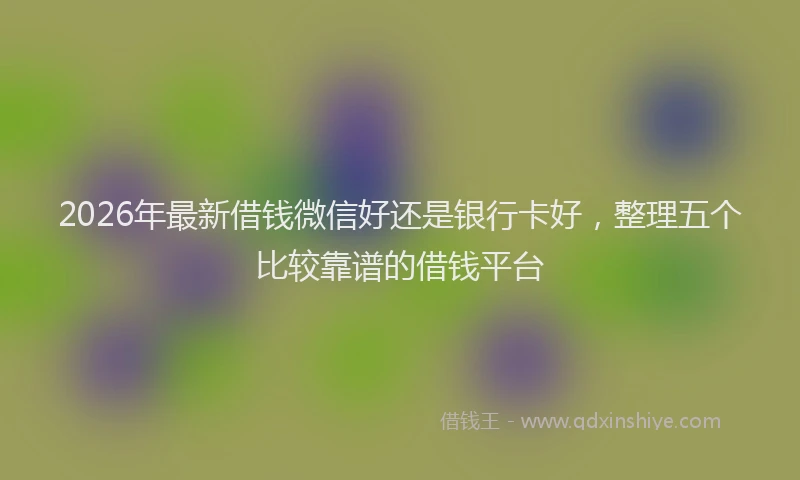 2026年最新借钱微信好还是银行卡好，整理五个比较靠谱的借钱平台