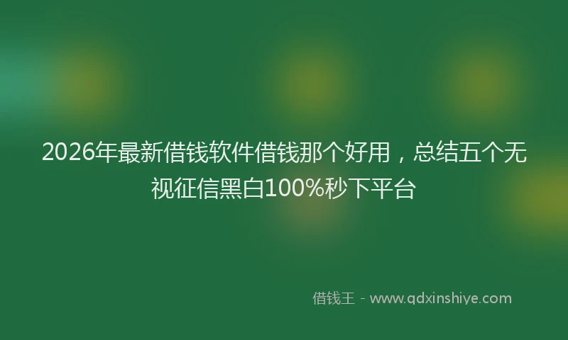 2026年最新借钱软件借钱那个好用，总结五个无视征信黑白100%秒下平台