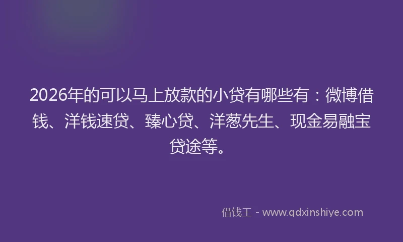 2026年的可以马上放款的小贷有哪些有：微博借钱、洋钱速贷、臻心贷、洋葱先生、现金易融宝贷途等。