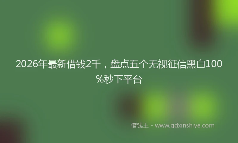 2026年最新借钱2千，盘点五个无视征信黑白100%秒下平台
