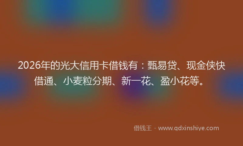 2026年的光大信用卡借钱有：甄易贷、现金侠快借通、小麦粒分期、新一花、盈小花等。