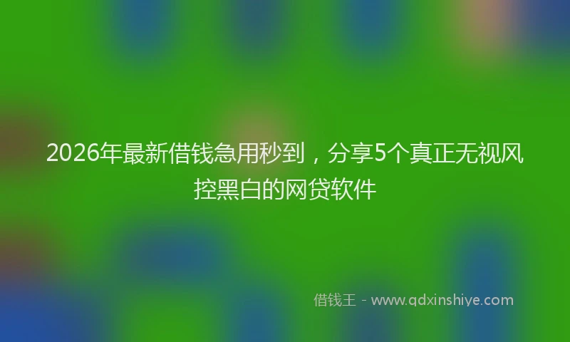 2026年最新借钱急用秒到，分享5个真正无视风控黑白的网贷软件