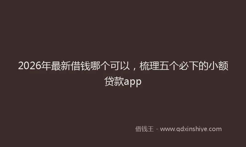 2026年最新借钱哪个可以,梳理五个必下的小额贷款app