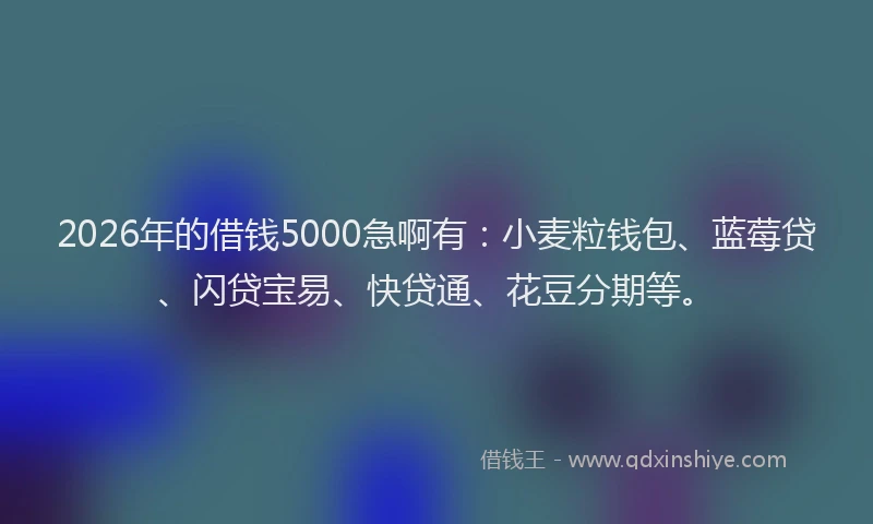2026年的借钱5000急啊有:小麦粒钱包、蓝莓贷、闪贷宝易、快贷通、花豆分期等。