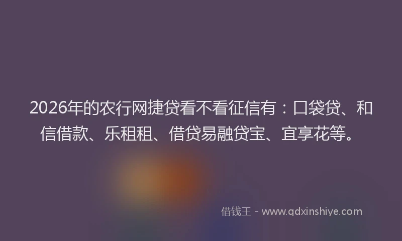 2026年的农行网捷贷看不看征信有：口袋贷、和信借款、乐租租、借贷易融贷宝、宜享花等。