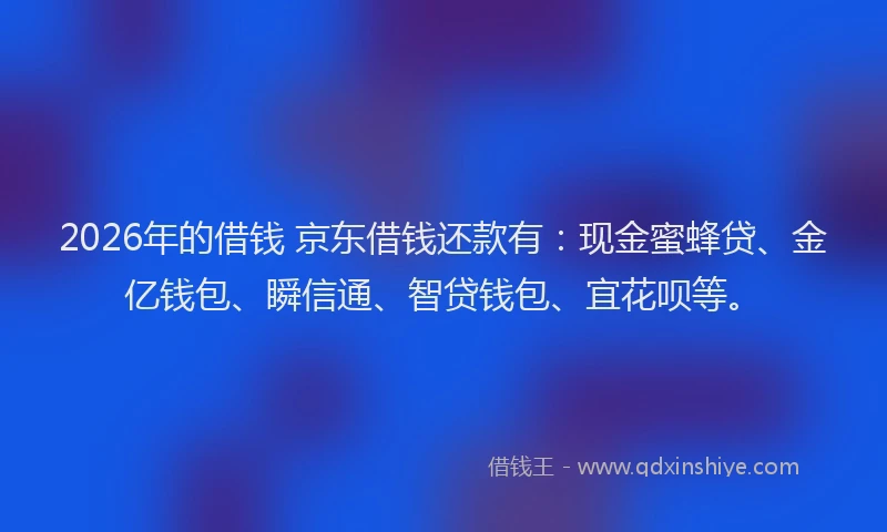 2026年的借钱 京东借钱还款有：现金蜜蜂贷、金亿钱包、瞬信通、智贷钱包、宜花呗等。