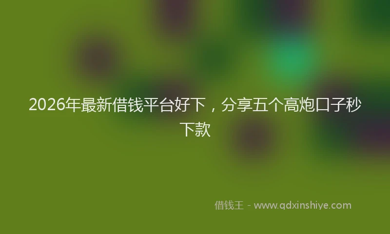 2026年最新借钱平台好下，分享五个高炮口子秒下款