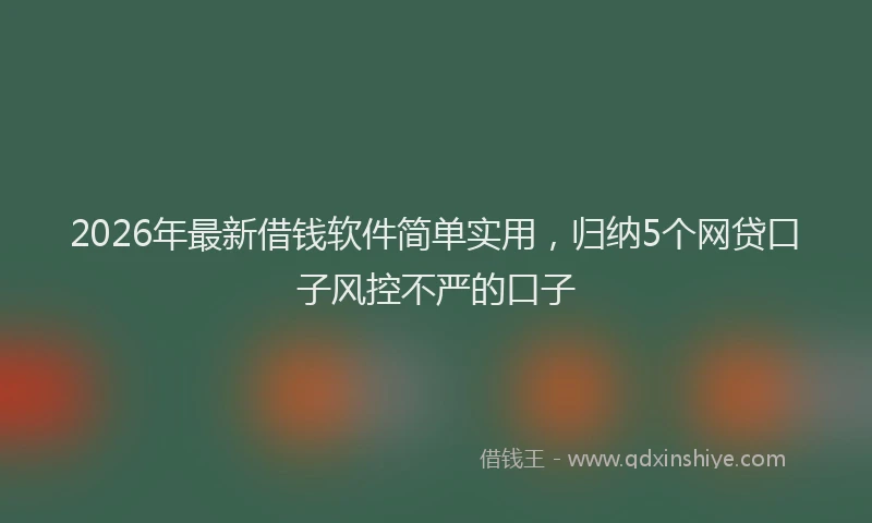 2026年最新借钱软件简单实用,归纳5个网贷口子风控不严的口子