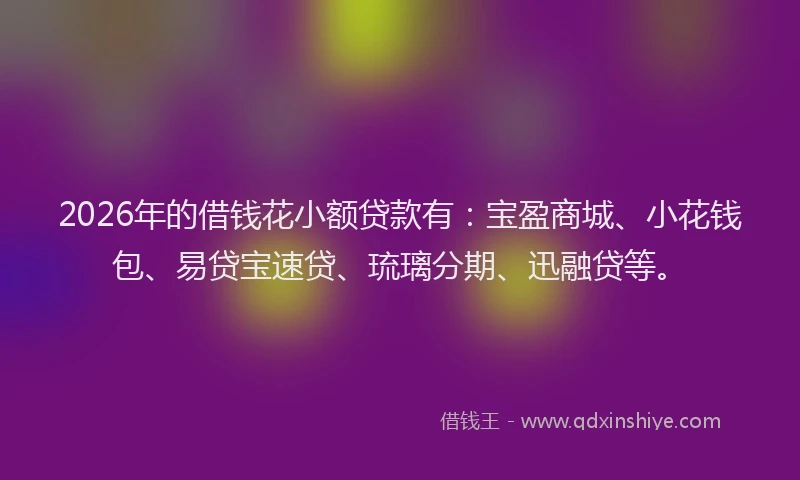 2026年的借钱花小额贷款有：宝盈商城、小花钱包、易贷宝速贷、琉璃分期、迅融贷等。