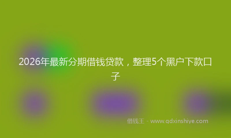 2026年最新分期借钱贷款，整理5个黑户下款口子
