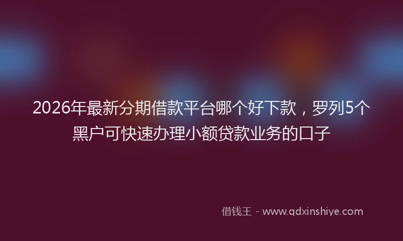 2026年最新分期借款平台哪个好下款，罗列5个黑户可快速办理小额贷款业务的口子