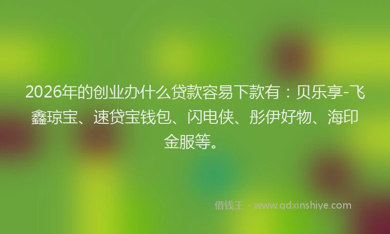 2026年的创业办什么贷款容易下款有：贝乐享-飞鑫琼宝、速贷宝钱包、闪电侠、彤伊好物、海印金服等。