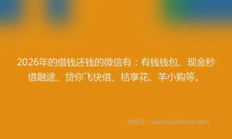 2026年的借钱还钱的微信有：有钱钱包、现金秒借融途、贷你飞快借、桔享花、羊小购等。