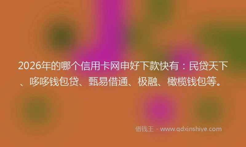 2026年的哪个信用卡网申好下款快有：民贷天下、哆哆钱包贷、甄易借通、极融、橄榄钱包等。
