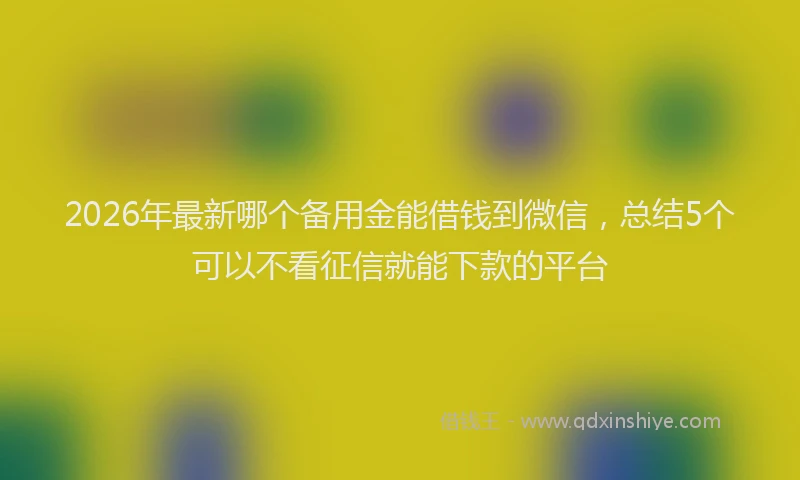 2026年最新哪个备用金能借钱到微信,总结5个可以不看征信就能下款的平台