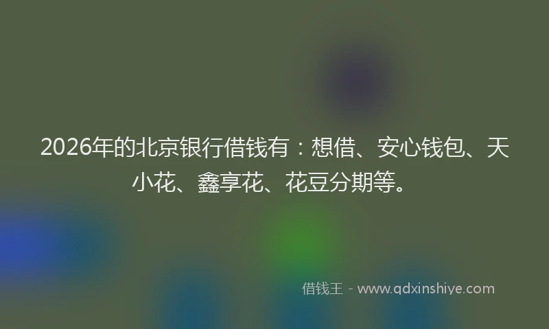 2026年的北京银行借钱有：想借、安心钱包、天小花、鑫享花、花豆分期等。
