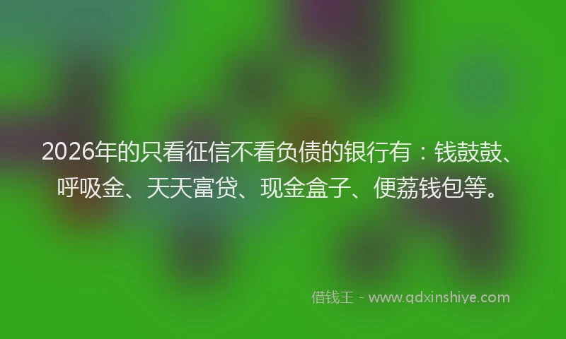 2026年的只看征信不看负债的银行有:钱鼓鼓、呼吸金、天天富贷、现金盒子、便荔钱包等。