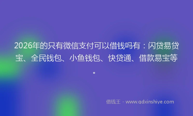 2026年的只有微信支付可以借钱吗有:闪贷易贷宝、全民钱包、小鱼钱包、快贷通、借款易宝等。