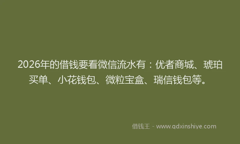 2026年的借钱要看微信流水有:优者商城、琥珀买单、小花钱包、微粒宝盒、瑞信钱包等。