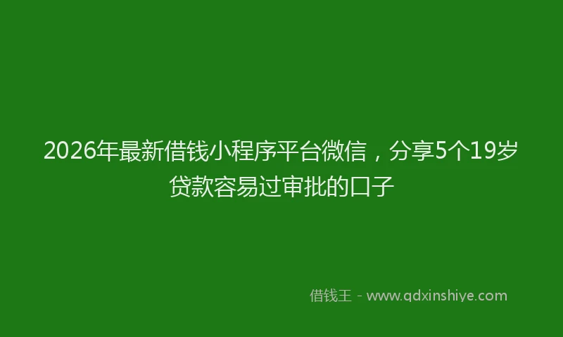 2026年最新借钱小程序平台微信,分享5个19岁贷款容易过审批的口子