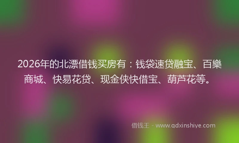 2026年的北漂借钱买房有：钱袋速贷融宝、百樂商城、快易花贷、现金侠快借宝、葫芦花等。