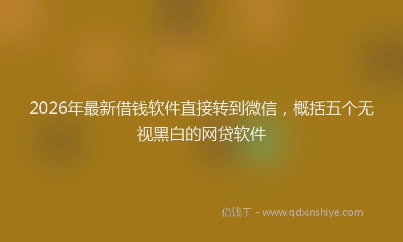 2026年最新借钱软件直接转到微信，概括五个无视黑白的网贷软件
