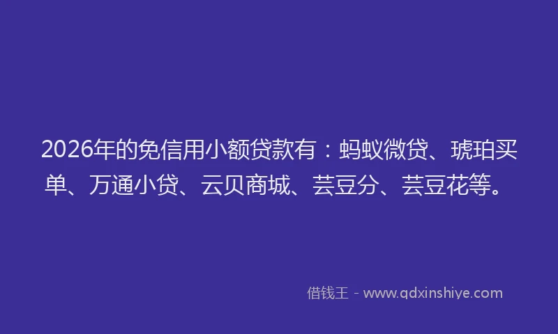 2026年的免信用小额贷款有：蚂蚁微贷、琥珀买单、万通小贷、云贝商城、芸豆分、芸豆花等。