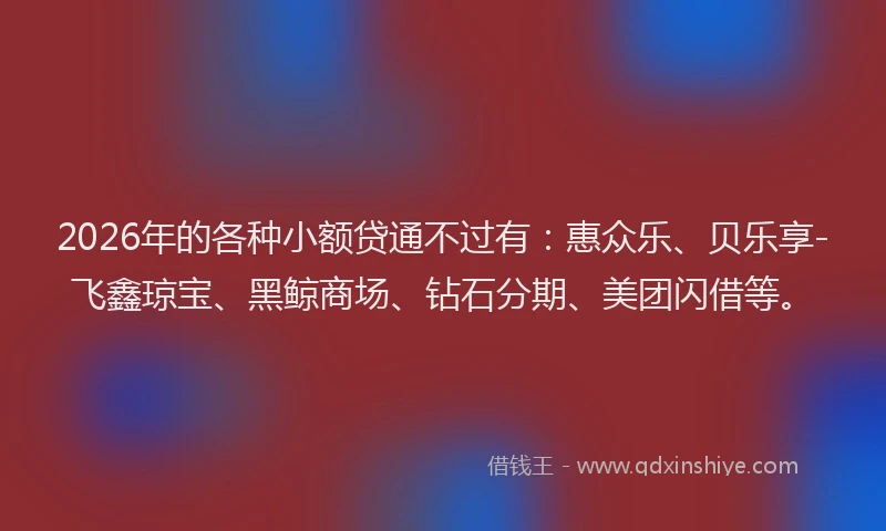 2026年的各种小额贷通不过有：惠众乐、贝乐享-飞鑫琼宝、黑鲸商场、钻石分期、美团闪借等。